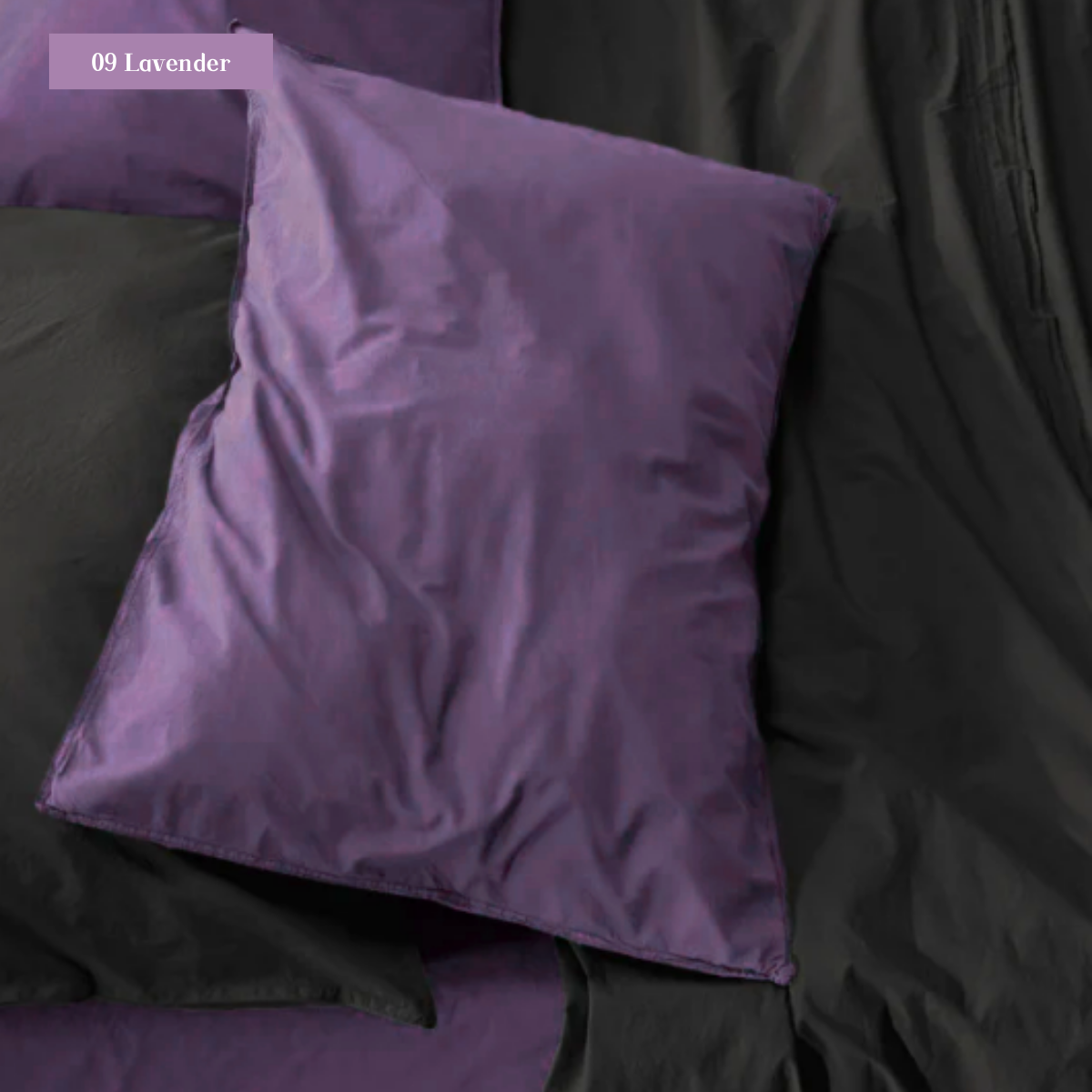 Premium Pillowcase | 枕套